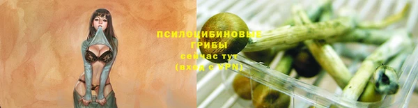 тгк Волосово