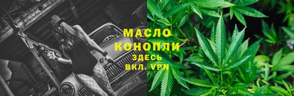 дживик Ельня